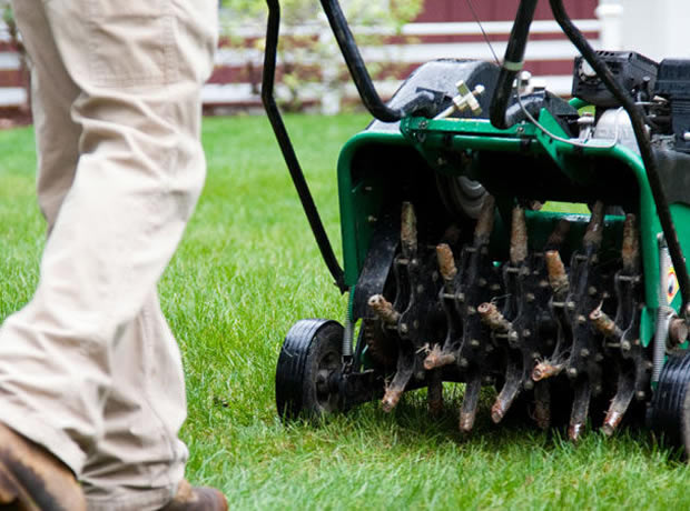 Grass Aeration