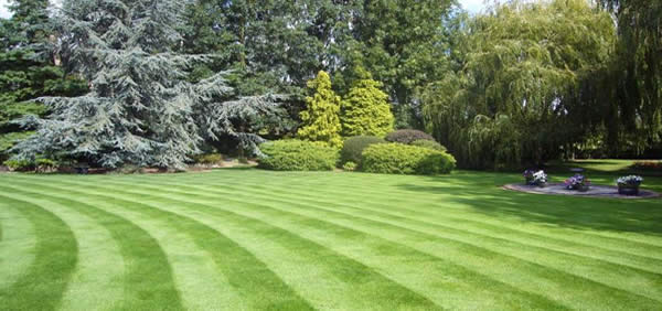 Lawncare
