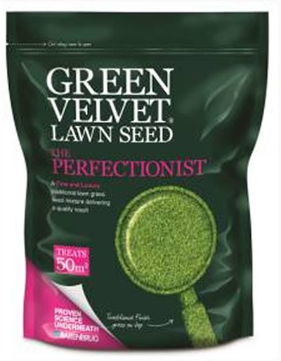 Green Velvet - the perfectionish grass seed