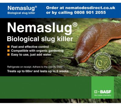 Nemaslug - biological slug killer
