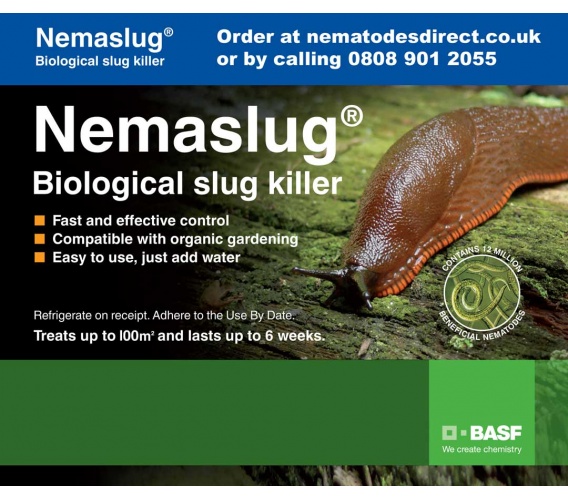 Nemasys Vine Weevil Killer