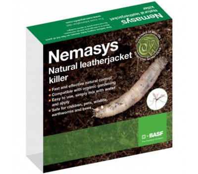 Nemasys Leather Jacket Killer