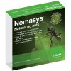Nemaysy No Ants