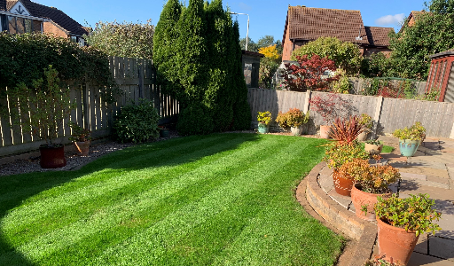 Lawn after Cutting