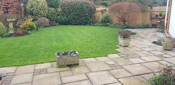 Spring Lawn and Patio